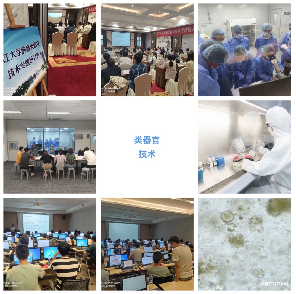2024年11月12-16日·浙江大学第8期“类器官课题设计+组学” 专题研习班-肽度TIMEDOO