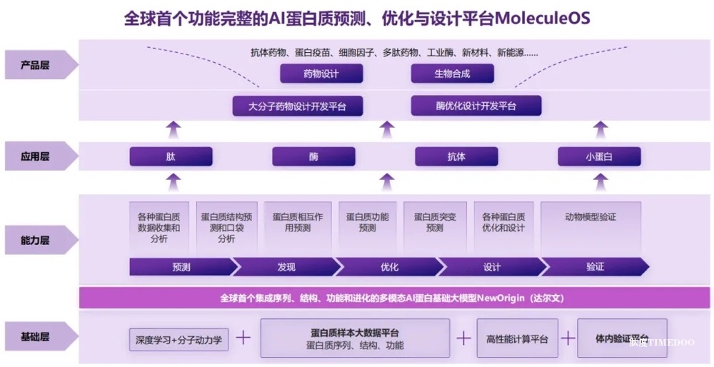 分子之心获数亿A轮融资,世界级AI蛋白技术加速生物领域新基建-肽度TIMEDOO