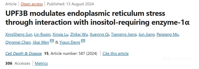 华南农业大学生命科学学院邓诣群教授团队揭示UPF3B与IRE1α互作调节细胞内质网应激的新机制-肽度TIMEDOO