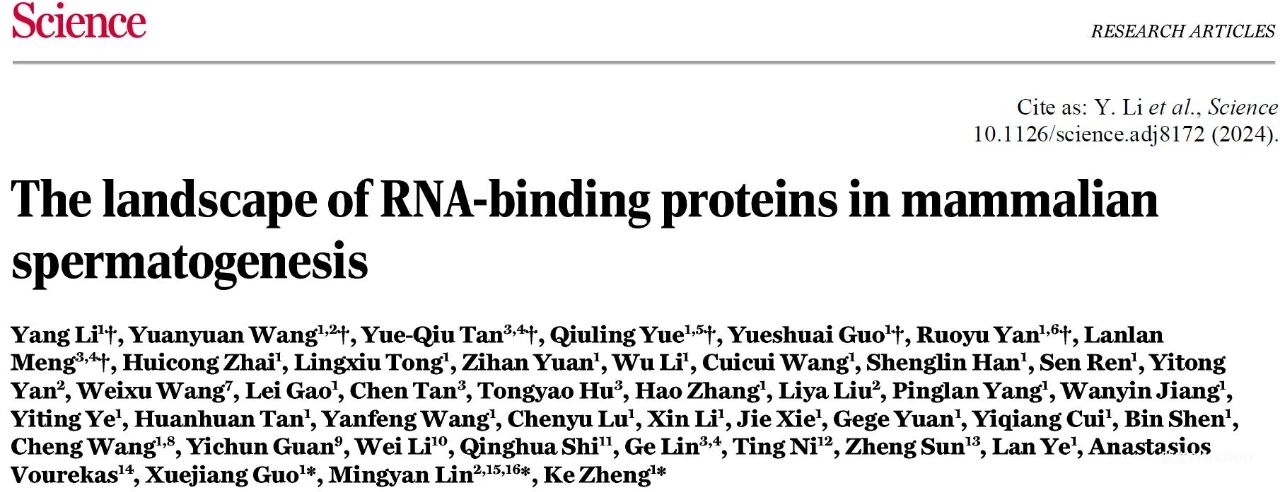 南京医科大学生殖医学研究最新科研突破-肽度TIMEDOO