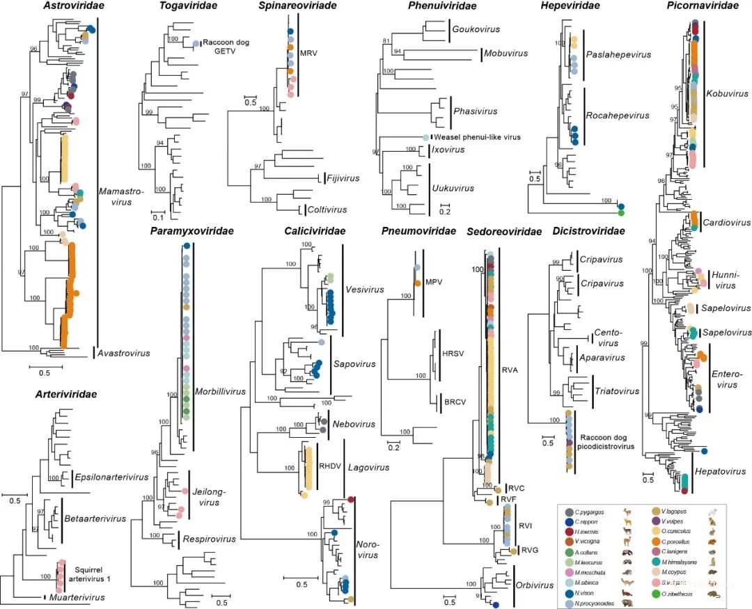 宏基因组研究新突破,复旦最新研究发Nature-肽度TIMEDOO