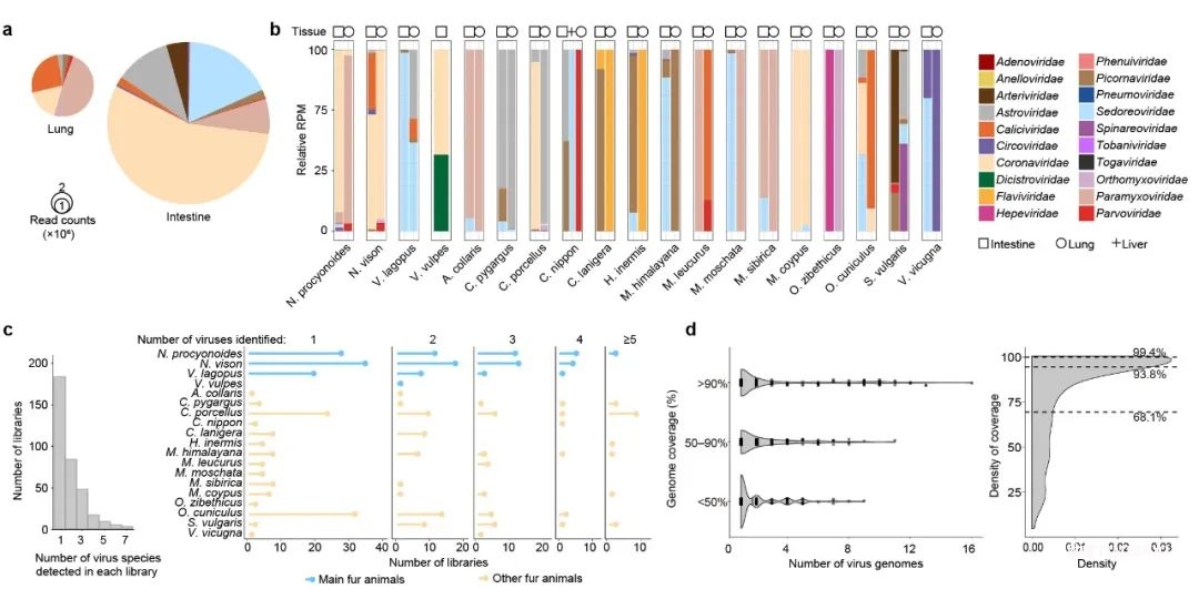 宏基因组研究新突破,复旦最新研究发Nature-肽度TIMEDOO