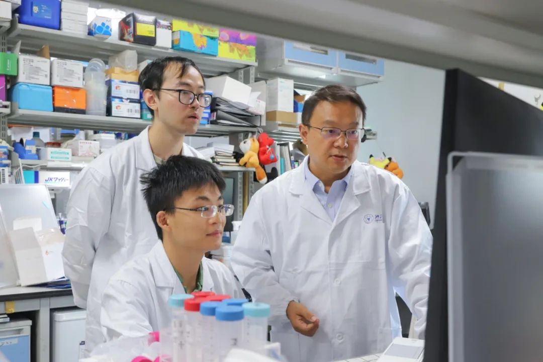 想躲？没门！浙大最新研究登《自然》