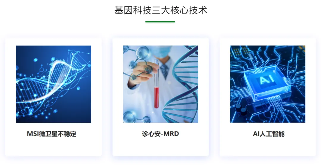 桐树基因完成D轮融资-肽度TIMEDOO