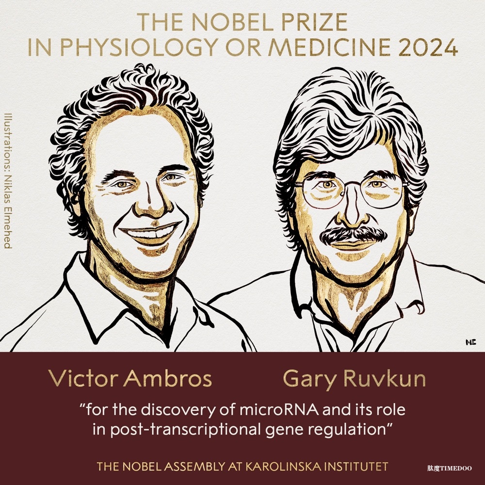 小小RNA，大大改变：microRNA基因调控研究斩获2024年诺贝尔生理学或医学奖