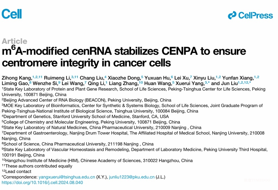 北京大学生命科学学院刘君课题组与合作者揭示m6A-cenRNA调控癌细胞着丝粒稳态的机制
