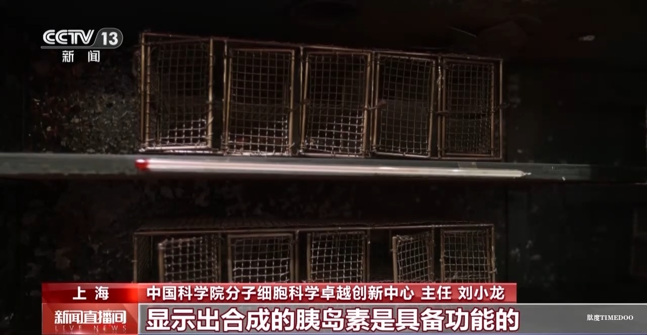 敢“啃”硬骨头 他带领团队合成了牛胰岛素-肽度TIMEDOO