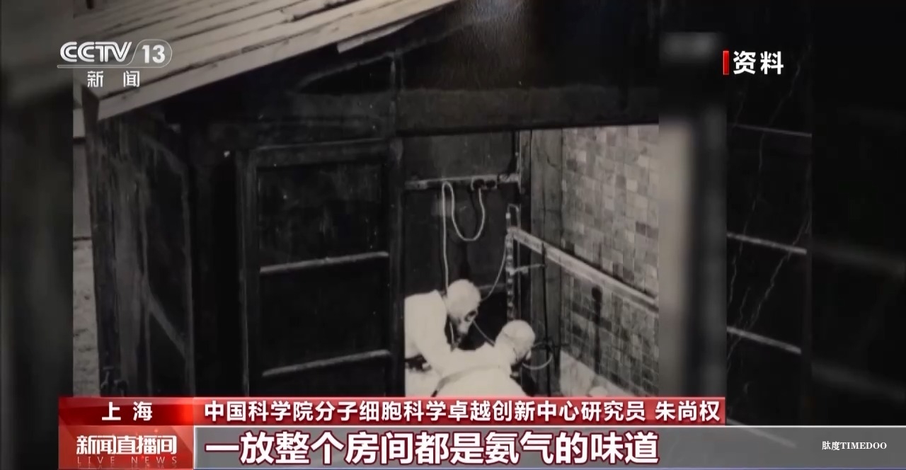 敢“啃”硬骨头 他带领团队合成了牛胰岛素-肽度TIMEDOO
