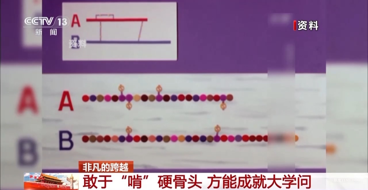 敢“啃”硬骨头 他带领团队合成了牛胰岛素-肽度TIMEDOO