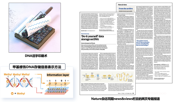北大团队首次提出基于并行写入策略的DNA存储方法-肽度TIMEDOO