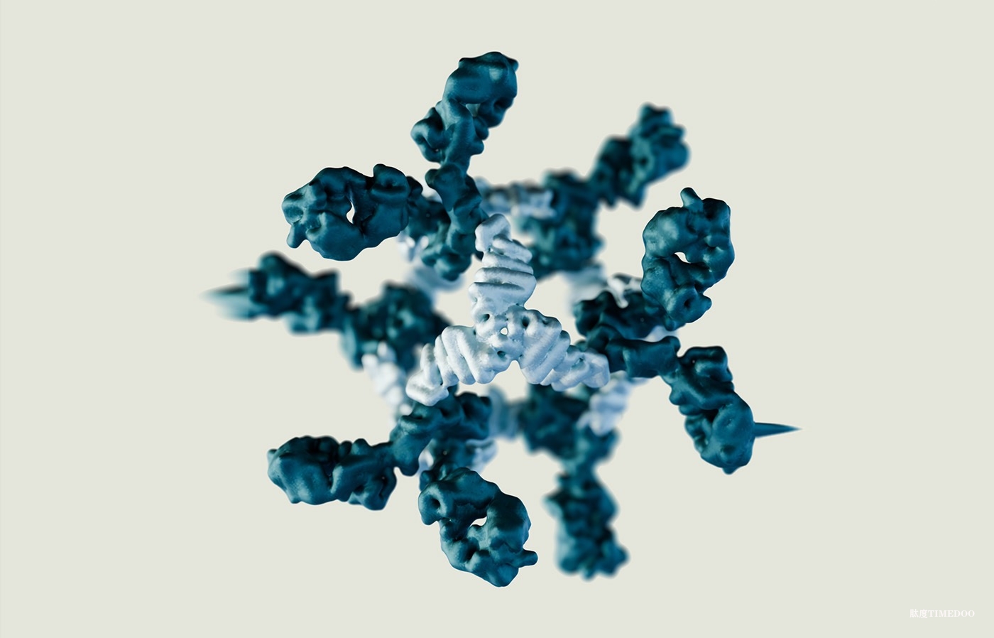 Archon Biosciences：基于抗体笼（AbCs）技术的全新生物药物研发
