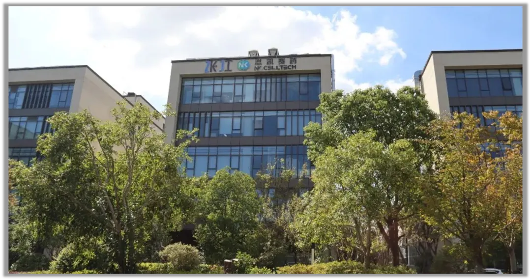恩凯赛药完成数千万元A++轮融资,加速推进NK细胞免疫产品管线-肽度TIMEDOO