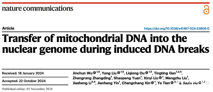 北京大学生命科学学院胡家志课题组揭示线粒体DNA片段可广泛整合入核基因组
