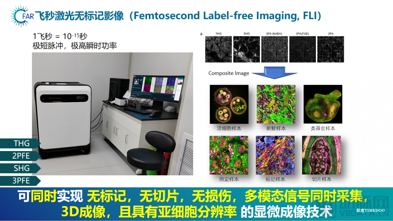 飞秒科技完成近亿元A轮融资,加速推进活细胞成像FV系列及组织成像FI系列的产品商业化落地-肽度TIMEDOO