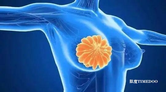 GC Aesthetics®宣布对PERLE™乳房假体进行长达十年的临床评估