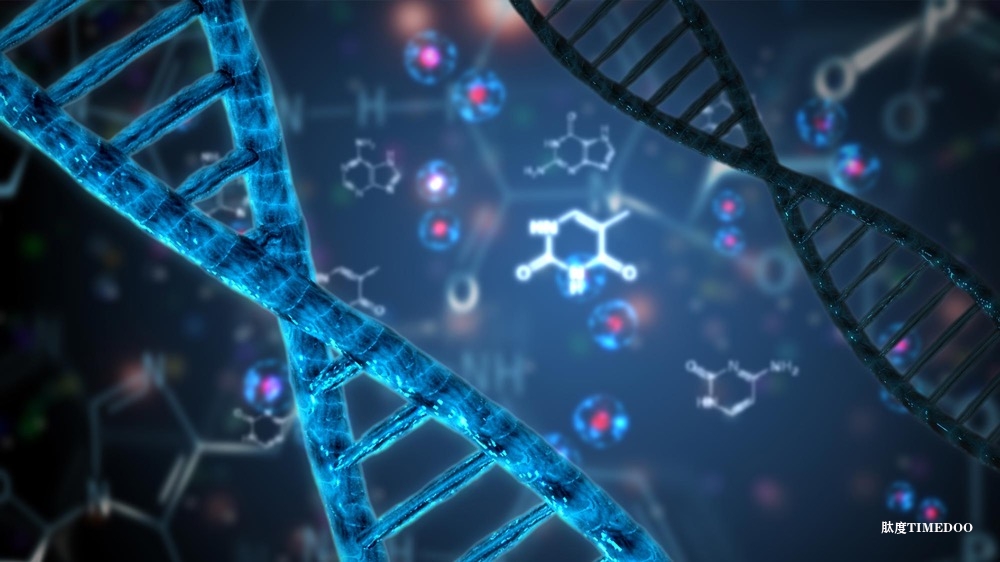 新加坡开设亚洲首个mRNA“生物铸造厂”，助力核酸疗法研发与生产