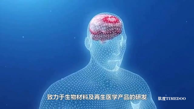 中国脑机接口领域11大领军企业-肽度TIMEDOO
