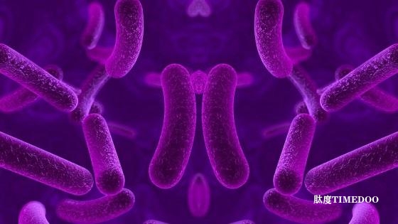 顶级科学家呼吁禁止创造镜像细菌-肽度TIMEDOO