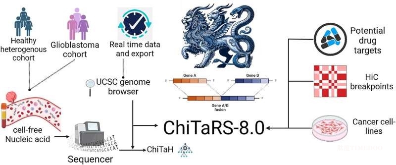 全球最大嵌合基因数据库承诺提供个性化癌症治疗