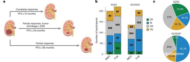 肾癌研究确定了免疫疗法产生特殊反应的因素