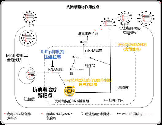 国家卫健委发布《流行性感冒诊疗方案（2025年版）》 完善诊疗方案，体现抗流感中国智慧