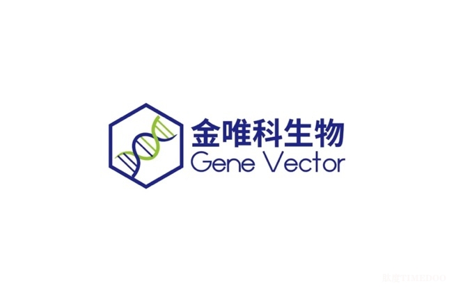 金唯科完成数千万元阶段性融资，加速推进AAV基因治疗药物开发