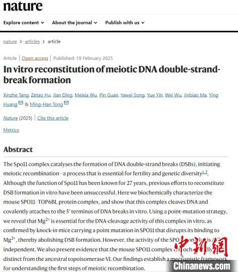 我国学者最新研究为生殖医学与遗传疾病研究开辟新路径