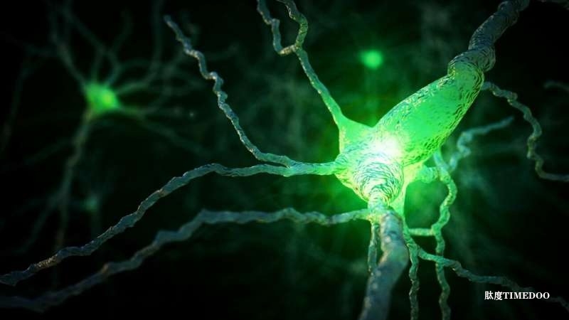 科学家提出全新理论：阿尔茨海默病的分子混乱可能源自细胞运输系统崩溃