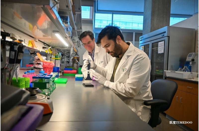 新型血液检测破解胰腺癌早诊难题 生存率有望提升