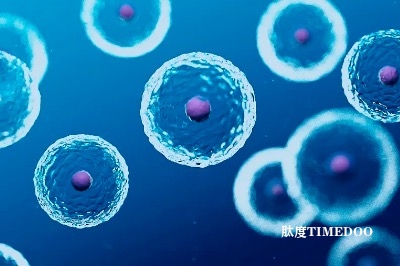健康干细胞转为口腔癌细胞机制揭示