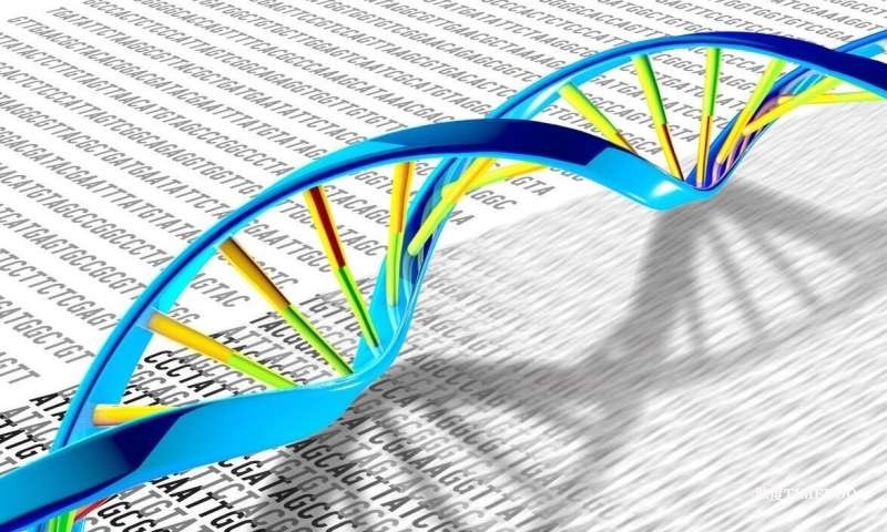 非侵入性尿液DNA甲基化检测可提高膀胱癌诊断准确性