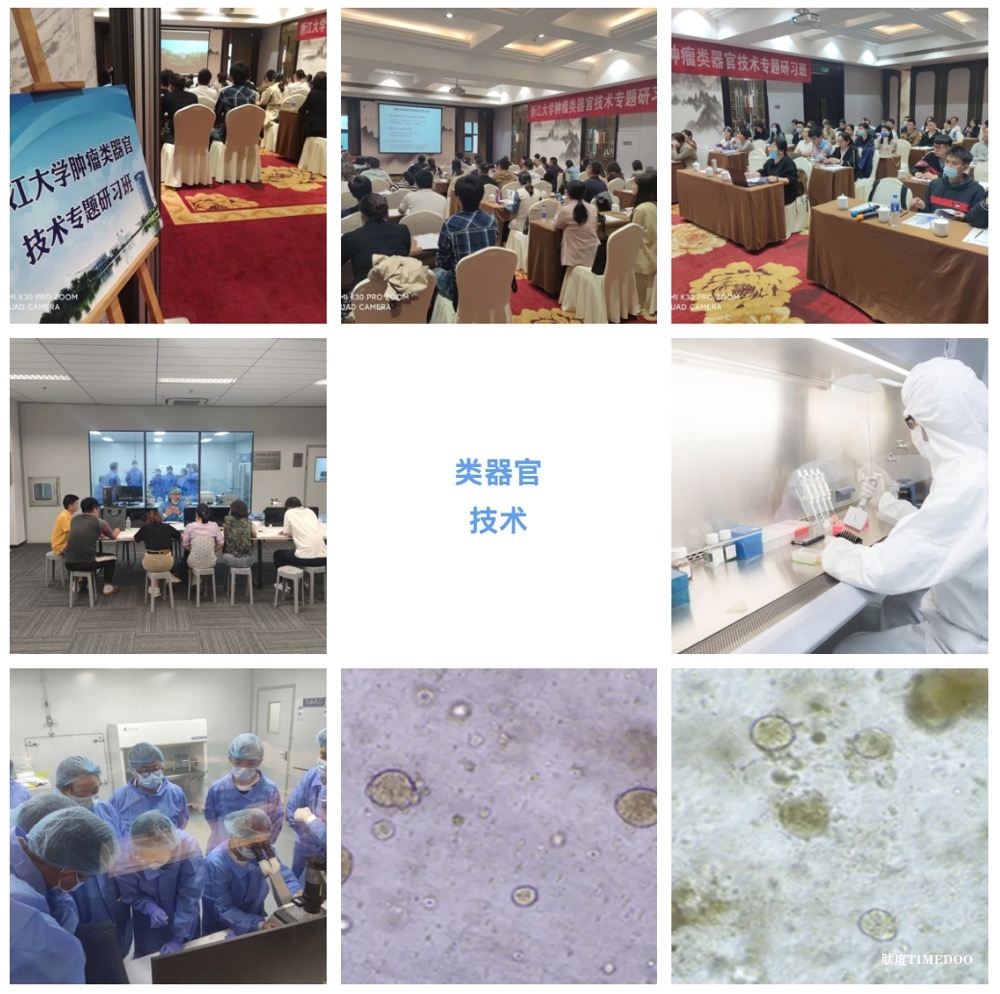 2025年4月17日-20日·浙江大学第9期类器官技术专题研习班