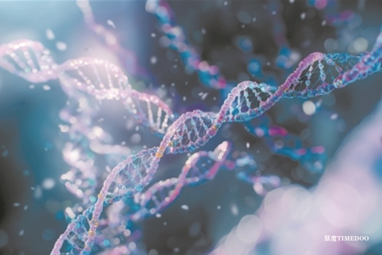 科学家观察到DNA开始解旋瞬间 有助深刻理解细胞复制遗传物质机制