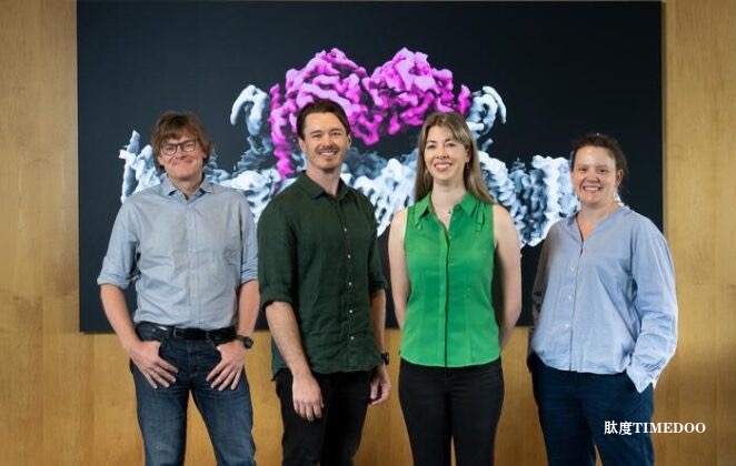 科学家在抗帕金森病研究中取得重大突破，揭示PINK1蛋白质结构-肽度TIMEDOO