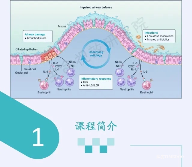 2025年3月22-23日·SCI论文/基金插图培训班线上线下同步开课-肽度TIMEDOO