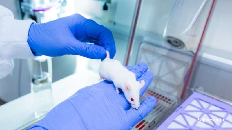 苏黎世大学研究突破：单只实验鼠可同时测试25种抗体，大幅减少实验动物数量