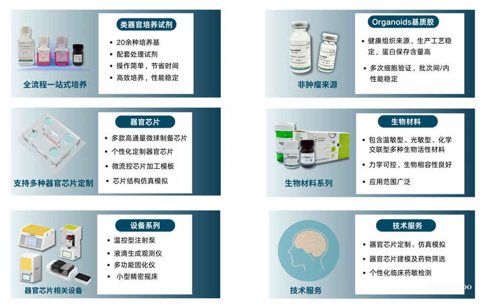 1744681626927435.png FDA新政淘汰动物实验 AI+器官芯片将引新药研发模式变革-肽度TIMEDOO