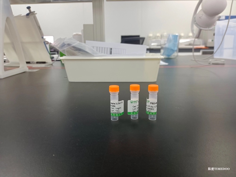 越混乱越有用 人工智能革命席卷蛋白质测序