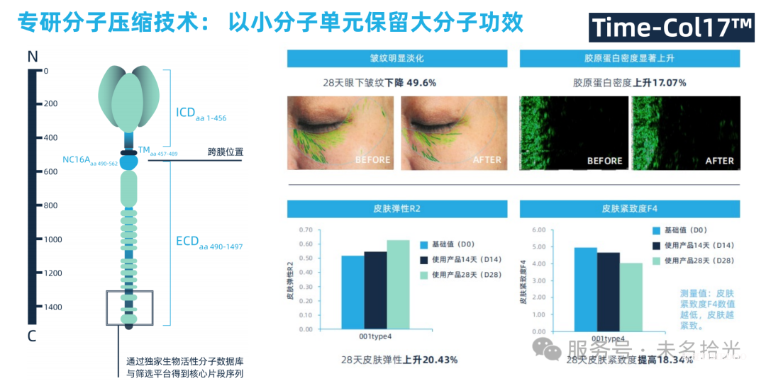 未名拾光完成近亿元战略融资，携手欧莱雅共拓AI+生物科技新未来-肽度TIMEDOO
