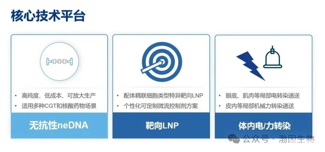 渤因生物完成数千万元天使+轮融资,加速非病毒载体基因治疗产品开发,凯乘资本担任独家财务顾问-肽度TIMEDOO