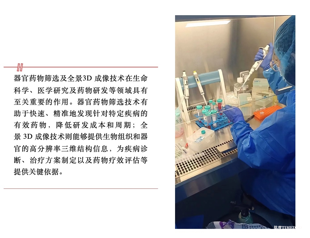 浙江大学培训班|2025年6月19日-22日类器官药物筛选及全景3D成像技术应用研习班-肽度TIMEDOO