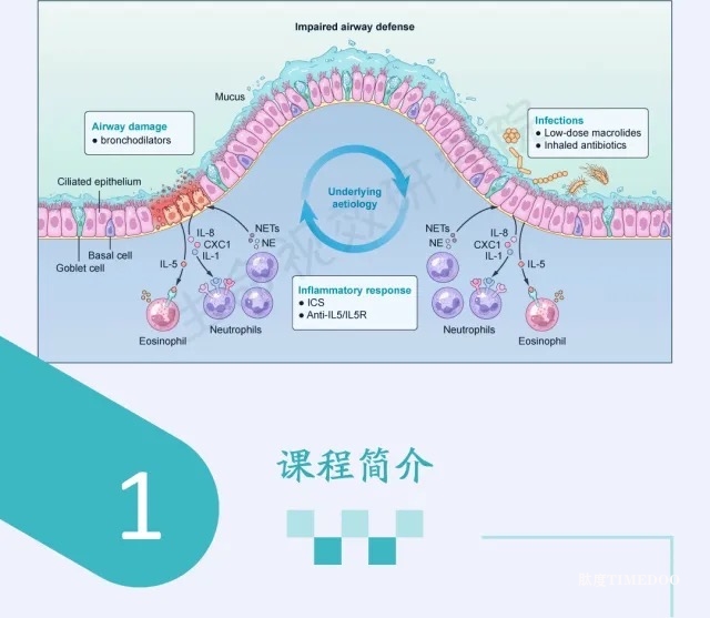 2025年6月21-22日·广州·SCI论文/基金插图培训班线上线下同步开课通知-肽度TIMEDOO