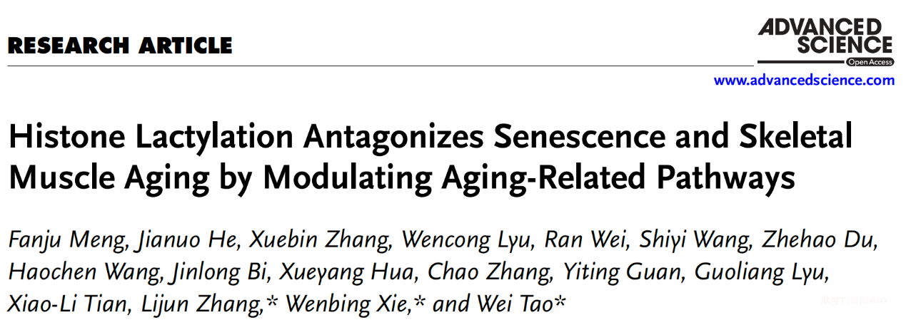 image1.png 北京大学生命科学学院陶伟课题组与合作者揭示组蛋白乳酸化修饰调控衰老的分子机制-肽度TIMEDOO