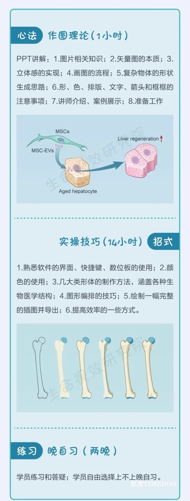 2025年6月21-22日·广州·SCI论文/基金插图培训班线上线下同步开课通知-肽度TIMEDOO