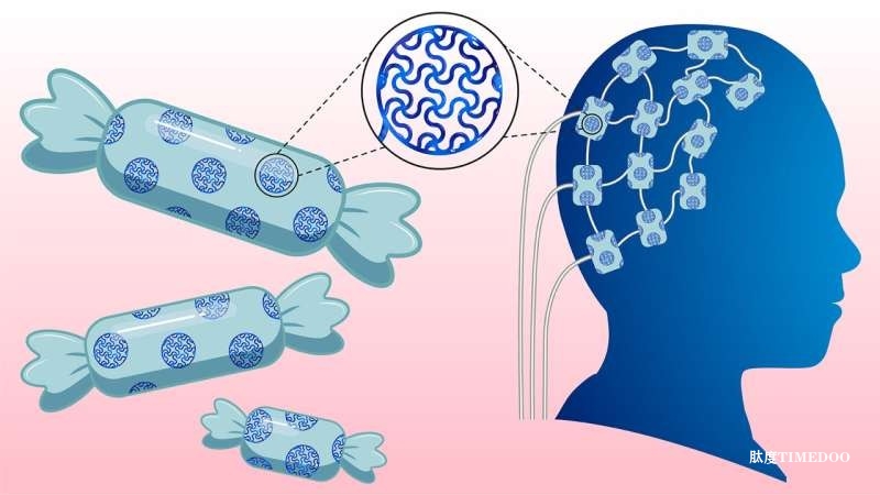 “糖”解决方案助力软电子植入物走向更安全未来：德州农工大学开发新型导电水凝胶材料