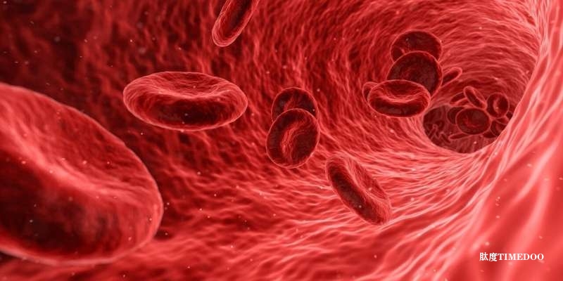 重磅追查！BMJ再揭“亿级药物”替格瑞洛关键研究数据缺失与不实问题，FDA审批或存重大疏漏