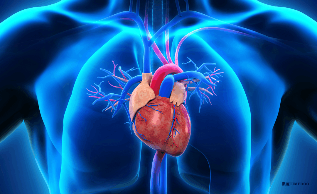 CorFlow Therapeutics宣布MOCA-II IDE关键性试验获得FDA批准，旨在验证新型心脏病发作治疗技术
