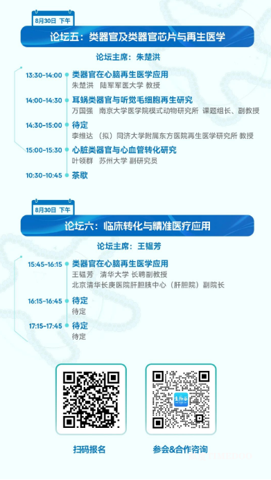 2025年8月29-30日·北京·第5届类器官大会-肽度TIMEDOO