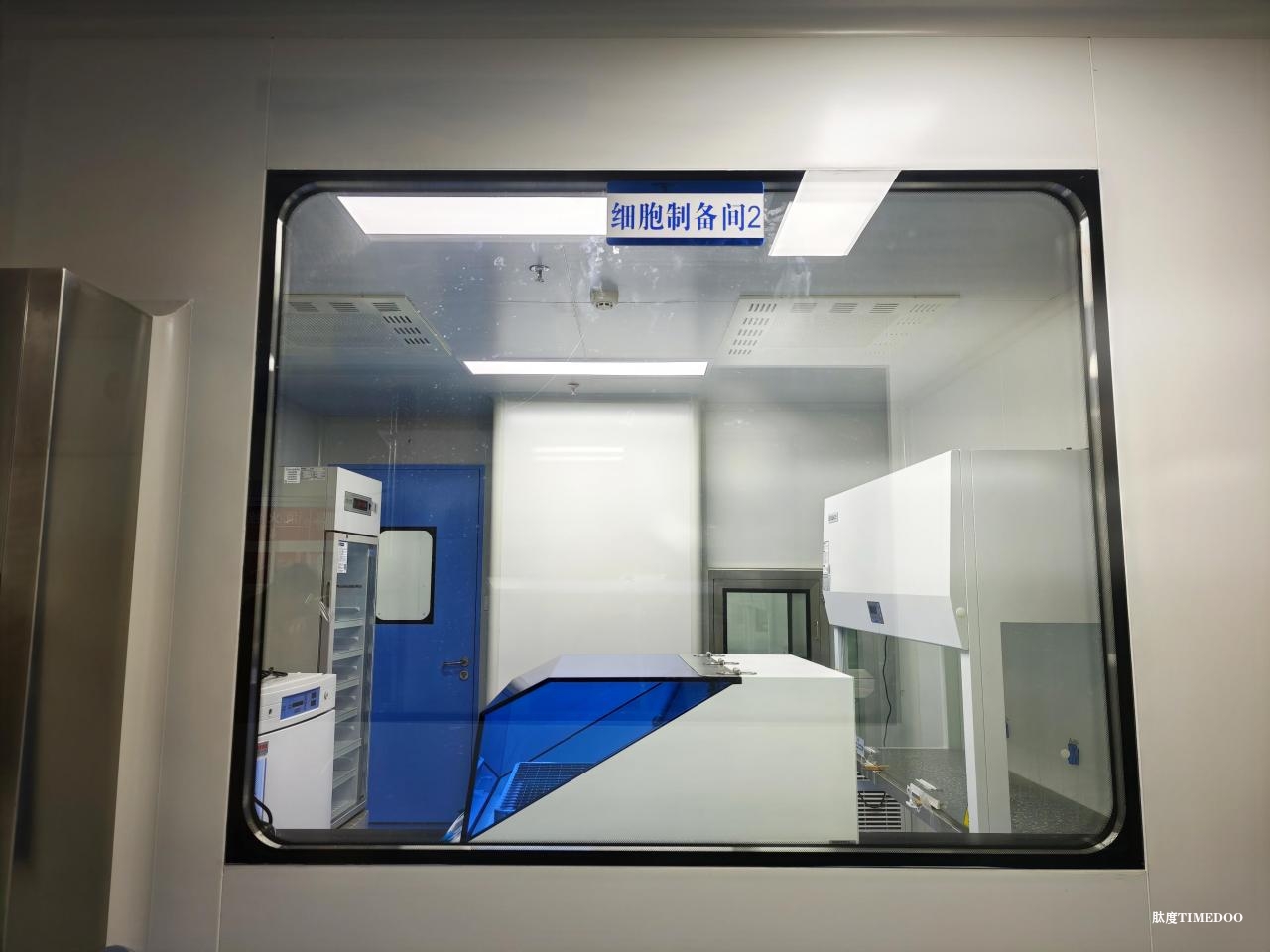 图为青海大学附属医院干细胞与再生医学实验室细胞制备间。科技日报实习记者 张添福 摄 干细胞及细胞制备有望为高原疾病治疗提供全新策略-肽度TIMEDOO