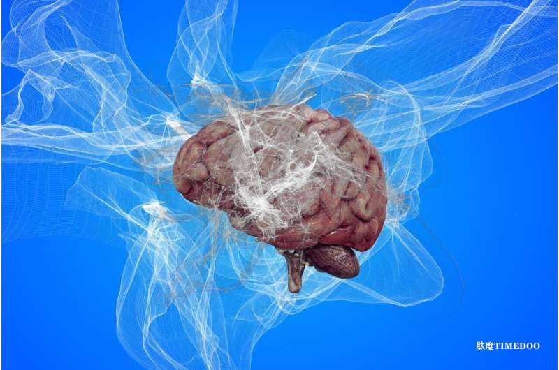 癌症药物有望逆转阿尔茨海默病脑部变化，研究人员发现潜在治疗新方案